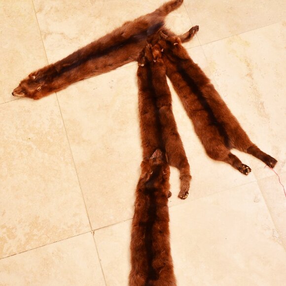 Vintage Mink Pelts - Picture 1 of 2